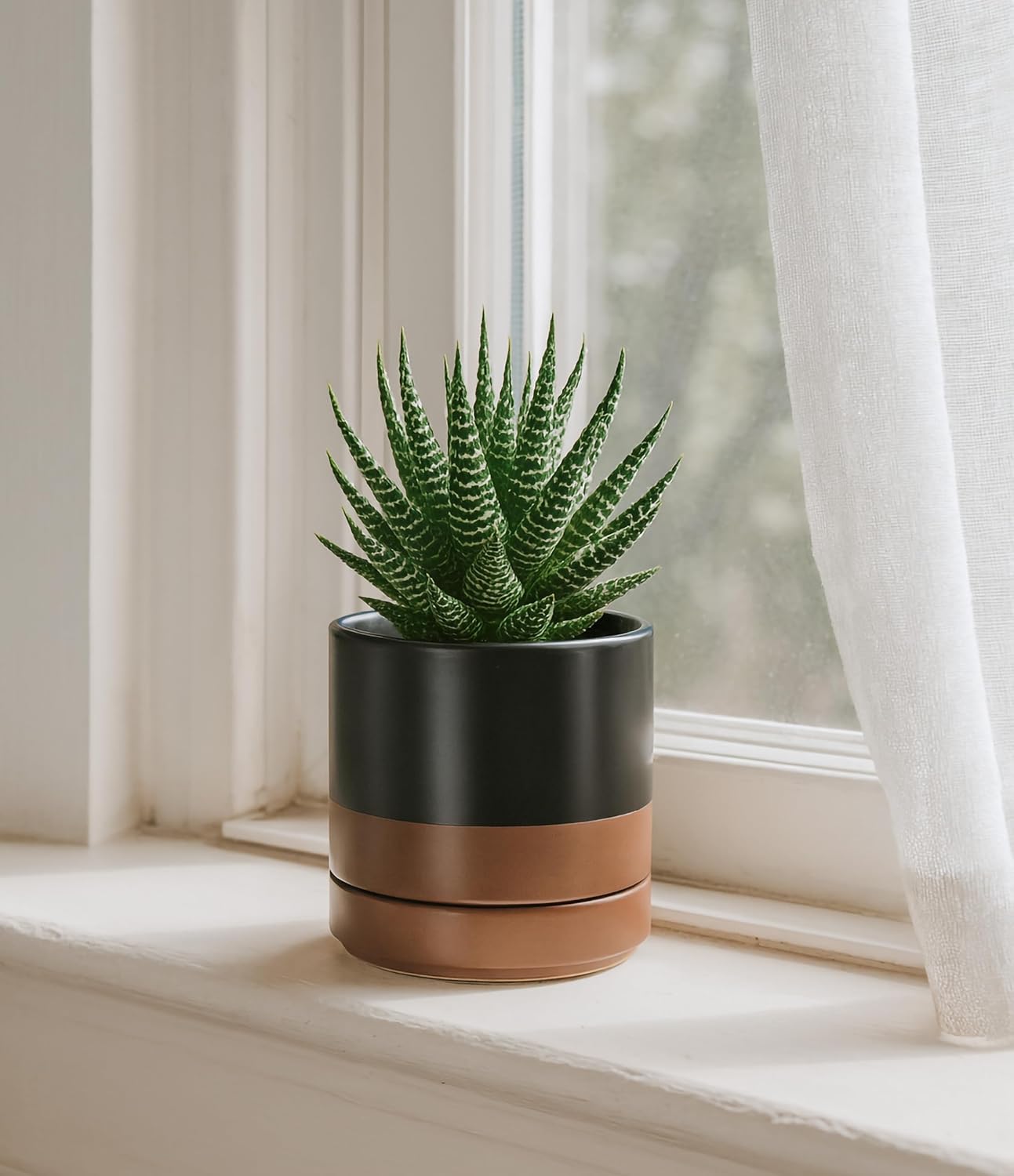 Black and Tan Ceramic Planter
