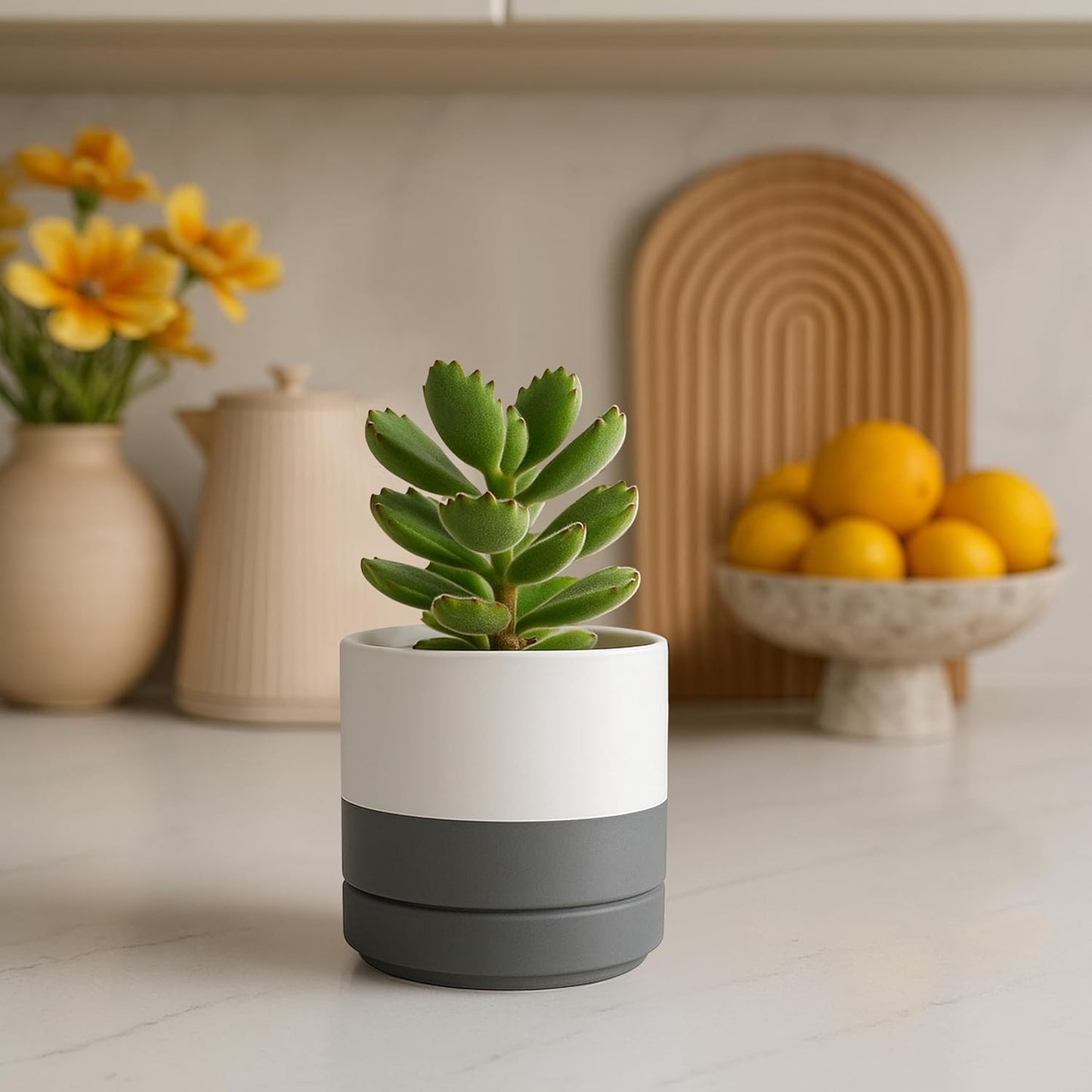 White and Grey Ceramic Planter