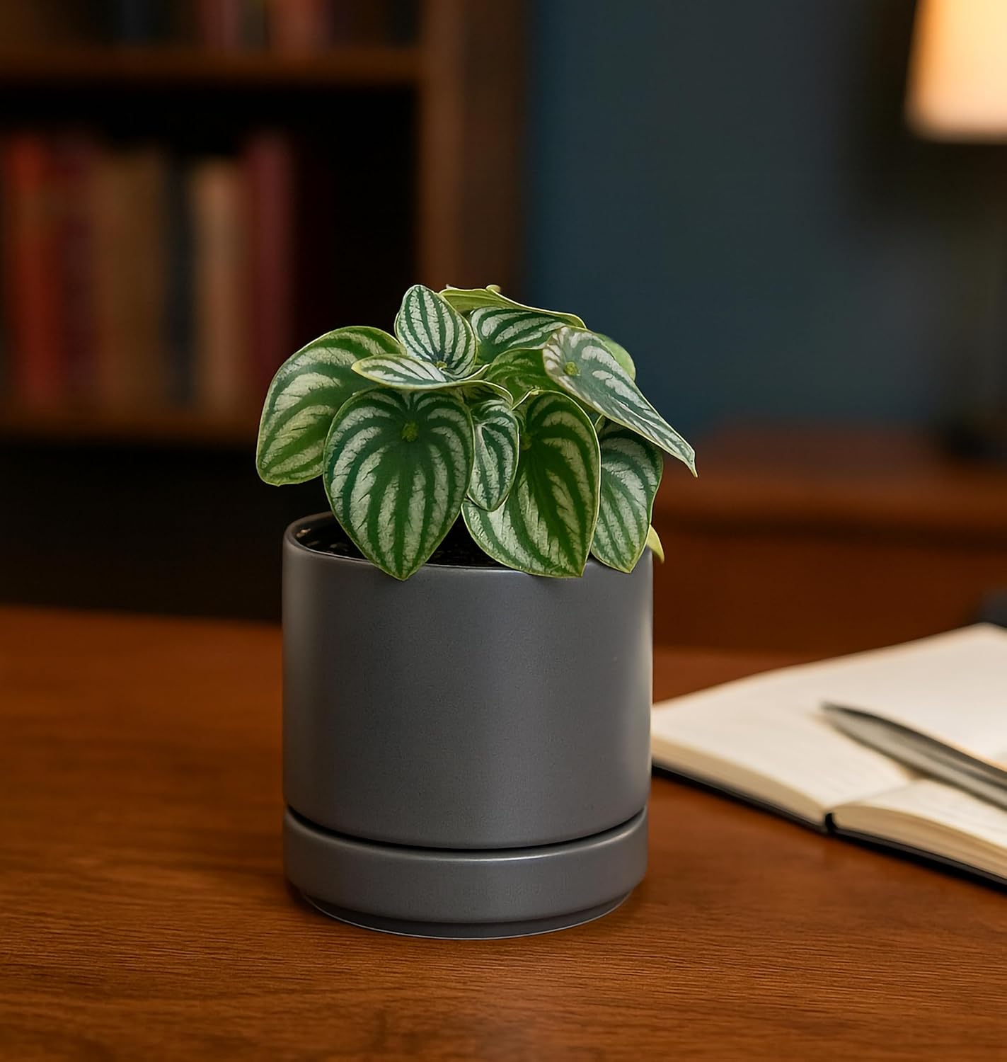Grey Ceramic Planter