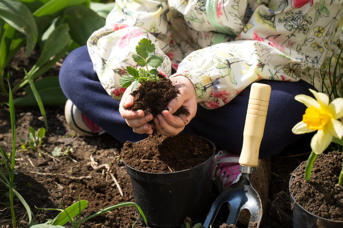 How to Turn Kitchen Waste into Garden Gold