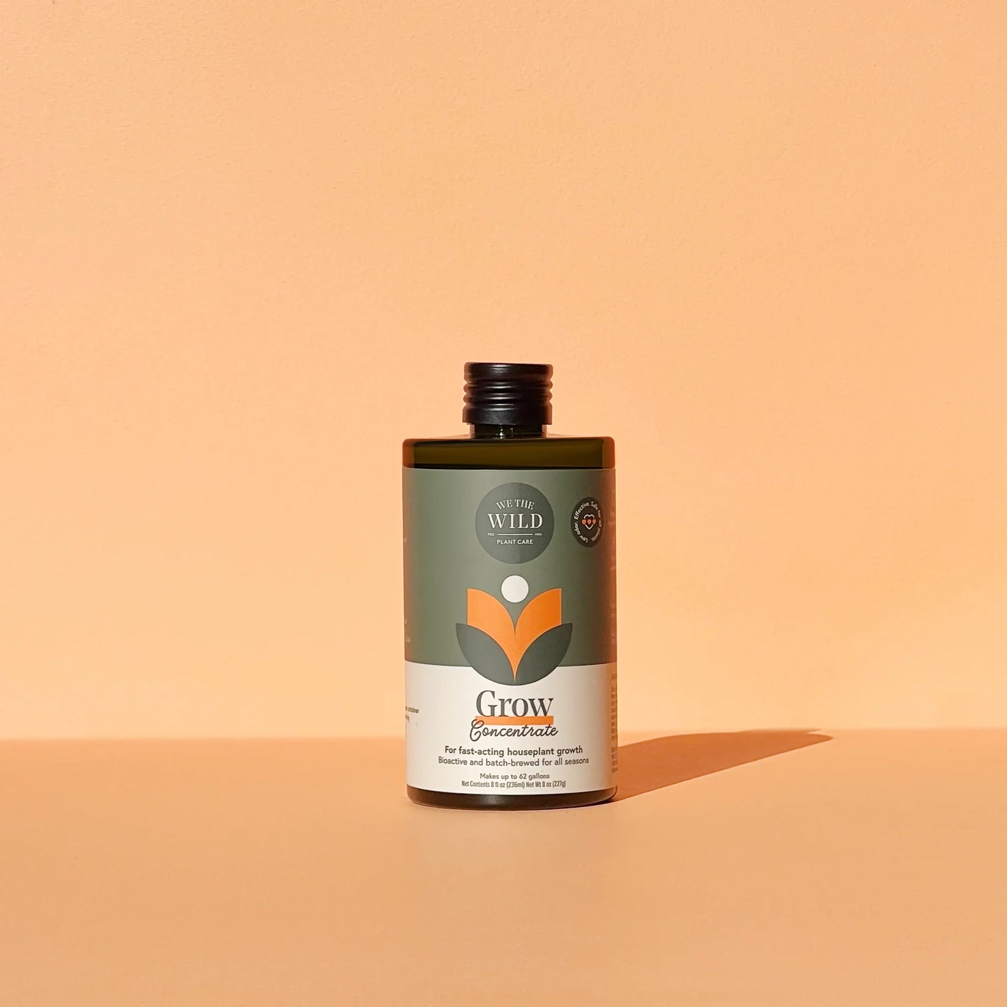 Houseplant Care Taster Gift