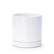 White Ceramic Planter